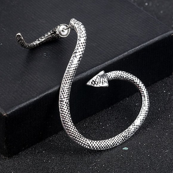 Greek Goddess Wrap-Around Silver Snake Earring - Picture 2 of 9